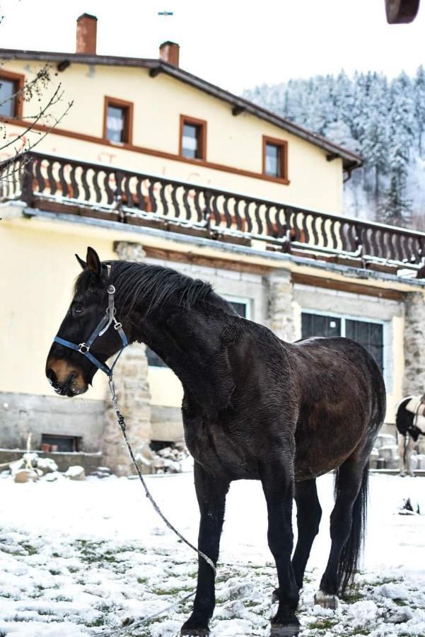 Zacisze Trzech Gor Alloggio per agriturismo Jedlina-Zdroj